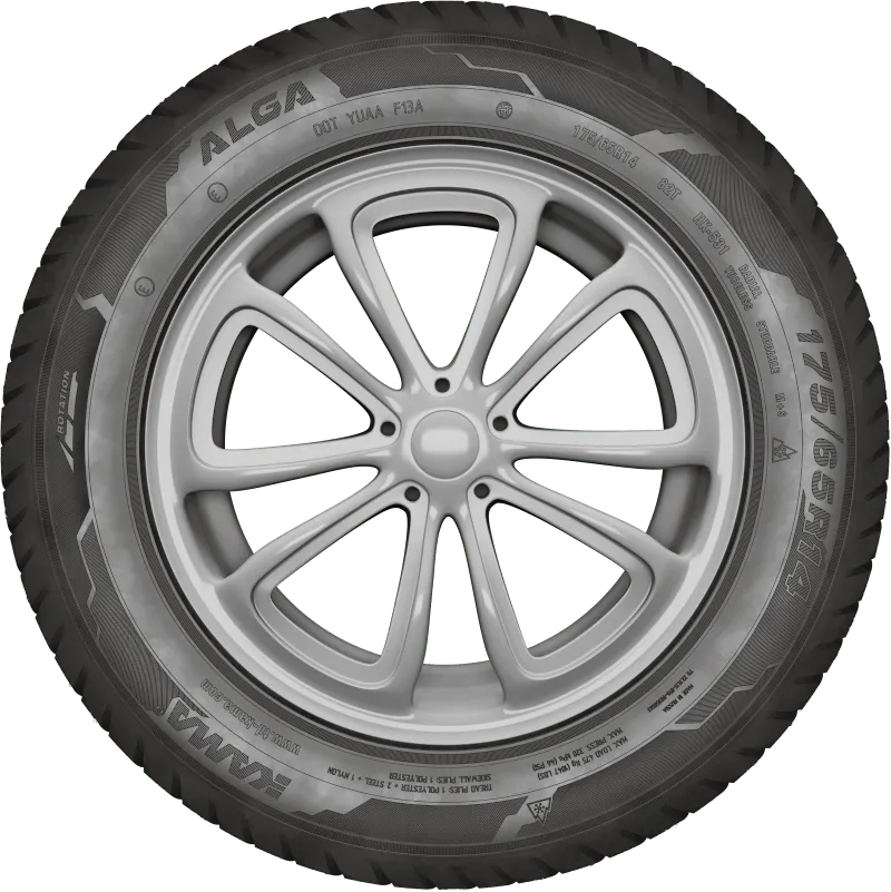 KAMA ALGA (НК-531) нешип в Кировграде — KAMA TYRES KAMA ALGA (НК-531) нешип в Кировграде